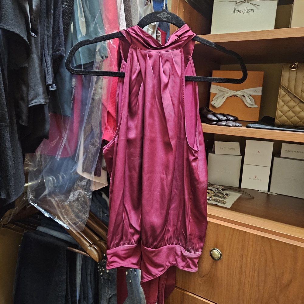 Express Burgundy Satin Top